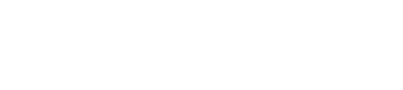 VS Prints Footer Logo